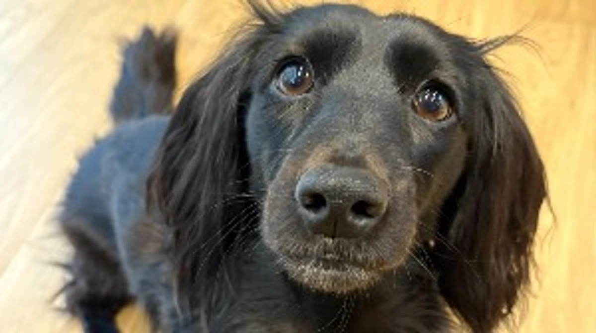 4回目の鍼治療を受けてきました！