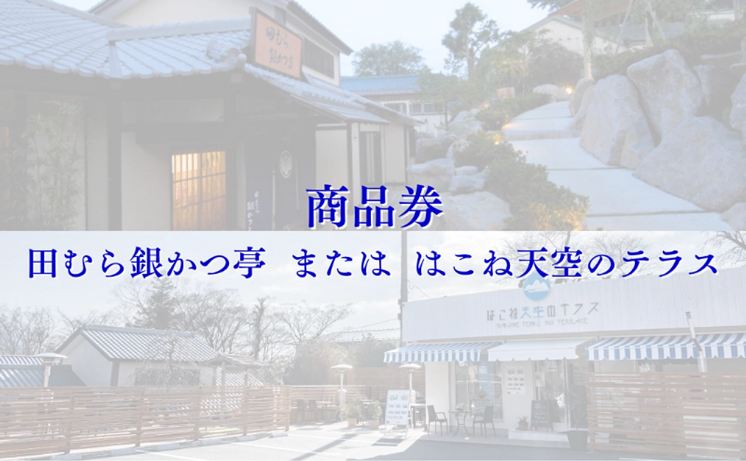 商品券(田むら銀かつ亭または、はこね天空のテラス)