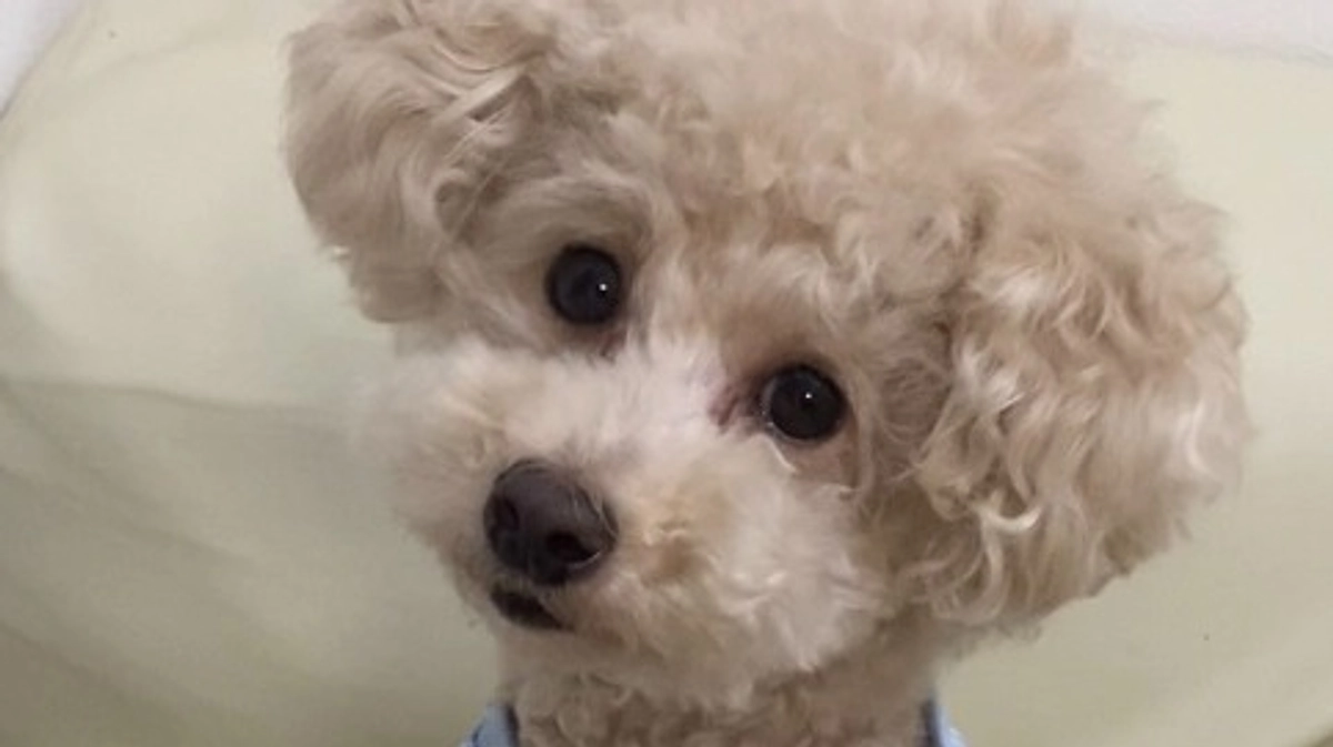 【クラファン6日目】たくさんの応援、ご拡散ありがとうございます！