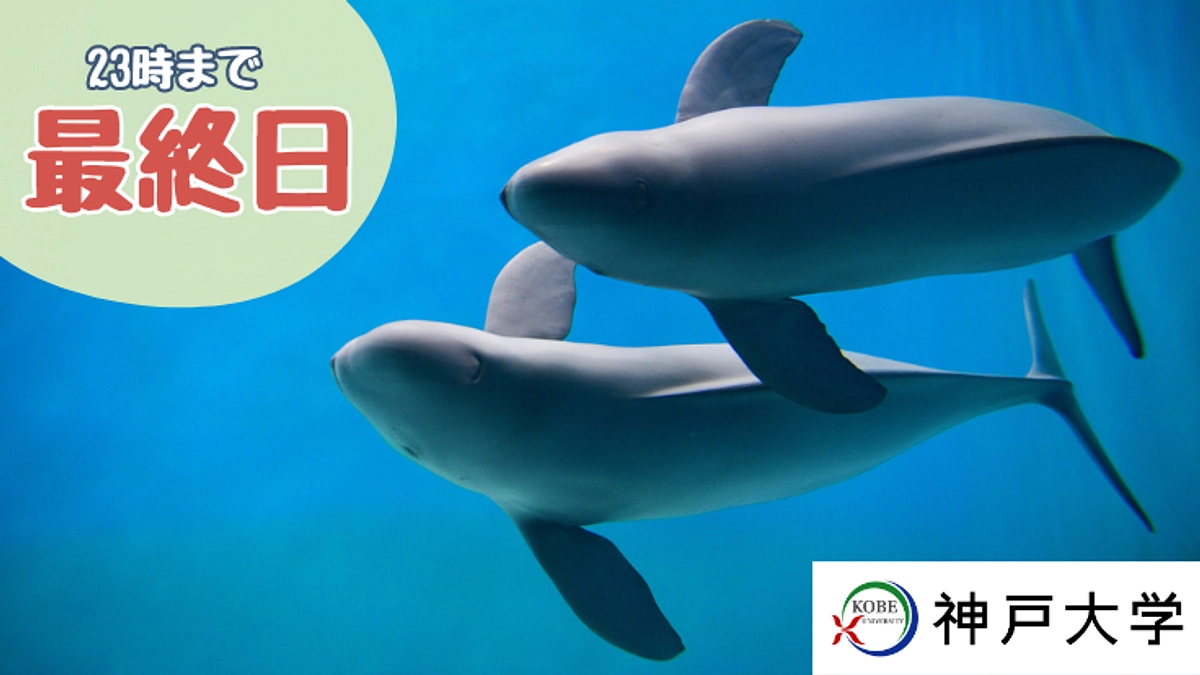 本日最終日！現在ネクストゴール達成率73%