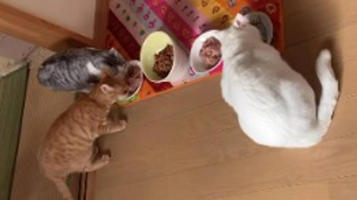 ご支援金入金していただきました🙇