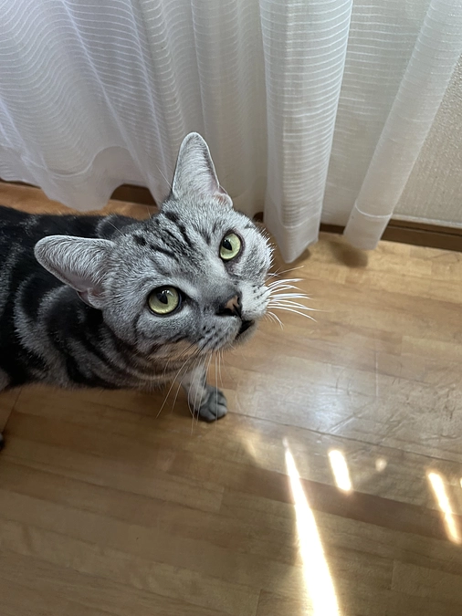 本日の銀時(経過観察20日目)