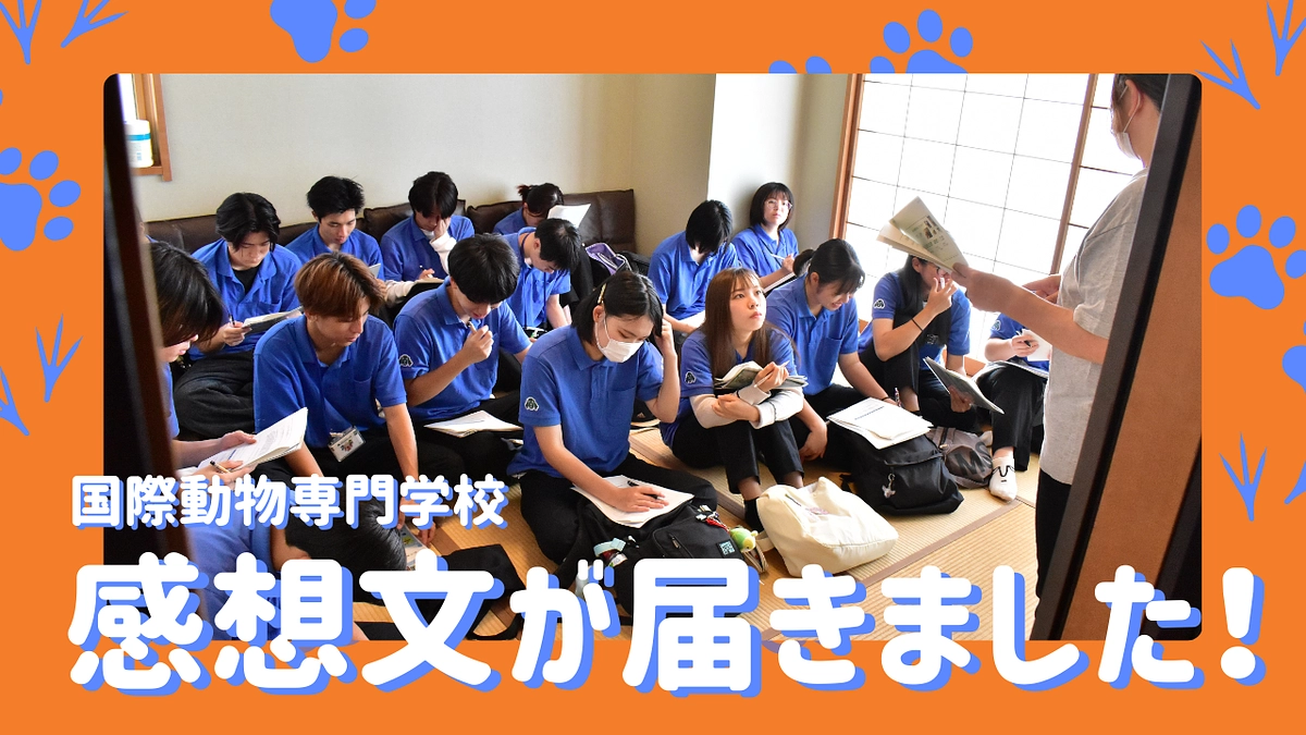 国際動物専門学校の学生さんから感想文が届きました！