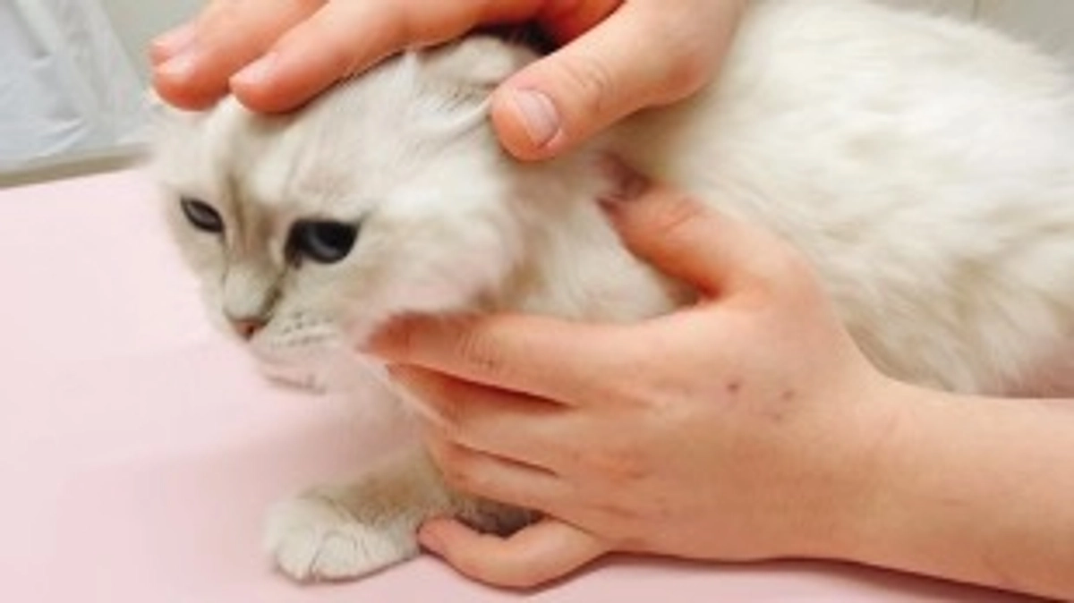 【再診してきました】