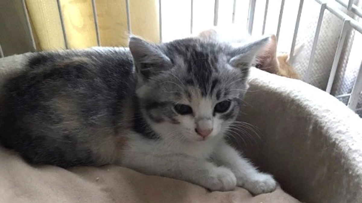 書きたいことはたくさん…