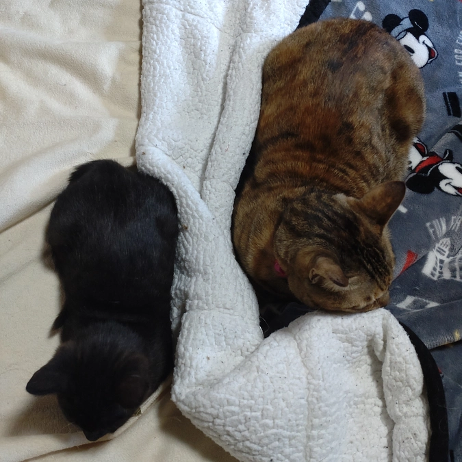 チコちゃん💕　ヤマト君💕