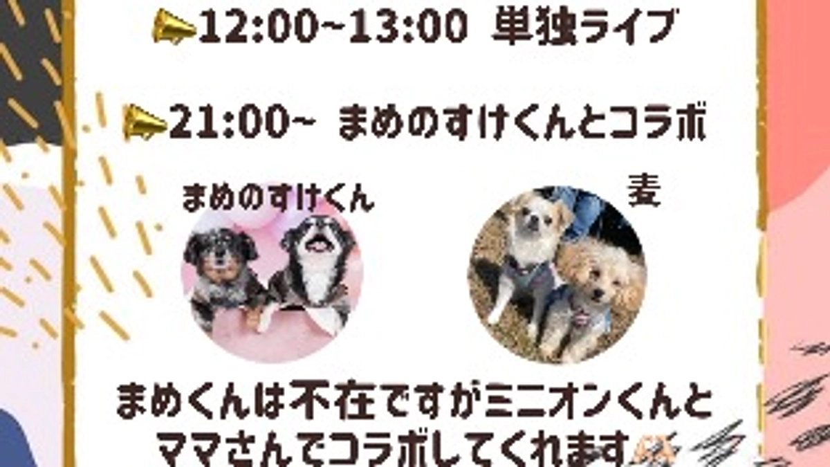 本日は2回インスタライブします！