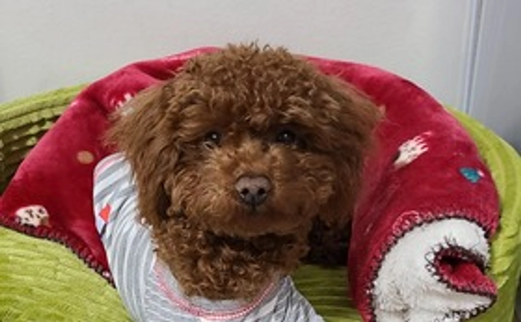 感謝の気持ち２