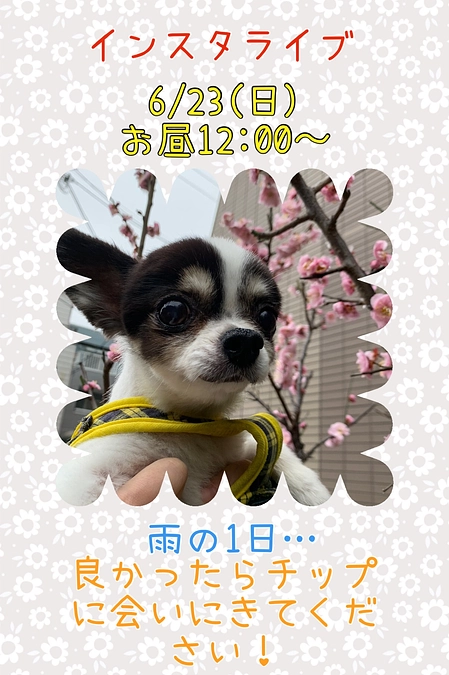 ウンチ固まってきました😭✨