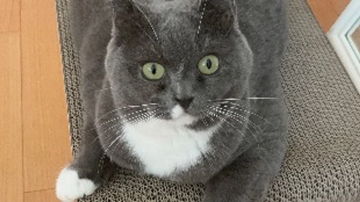 8月25日のプルート