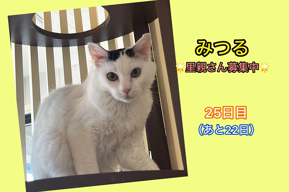 リターンにもある『一日スタッフ』（3/9  25日目）