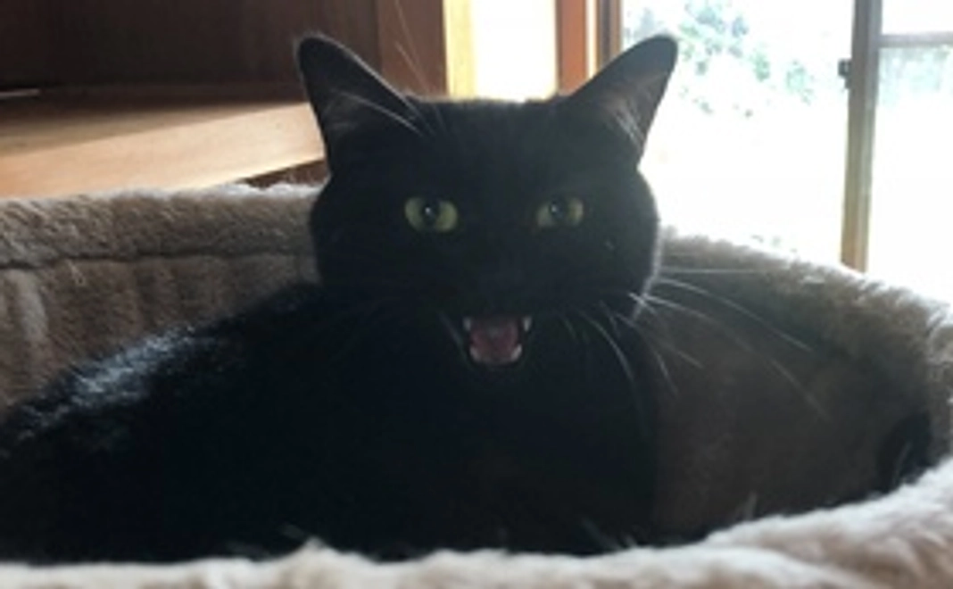 新着情報にご支援様のイニシャルを入れてお礼とご報告をします