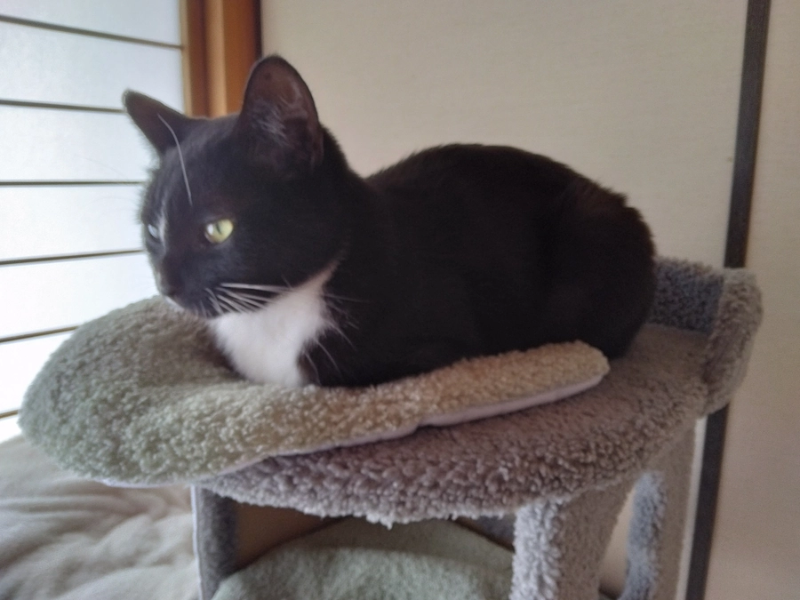 3/10はなちゃんの様子