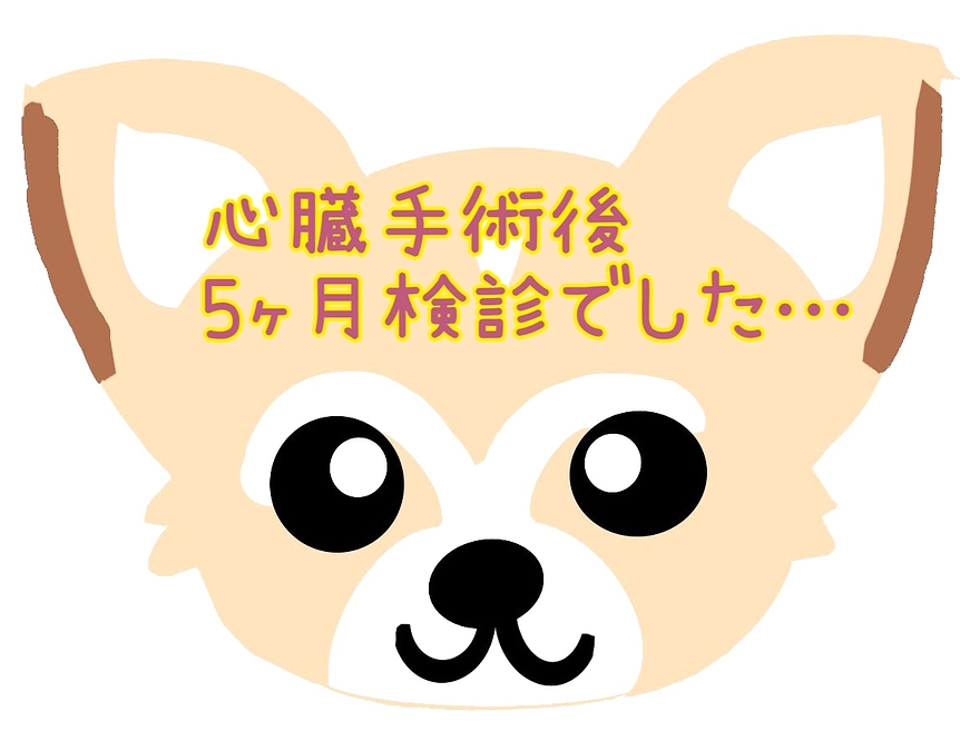 5ヶ月検診でした