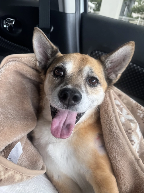 12/5 ☢️放射線治療4回目☢️