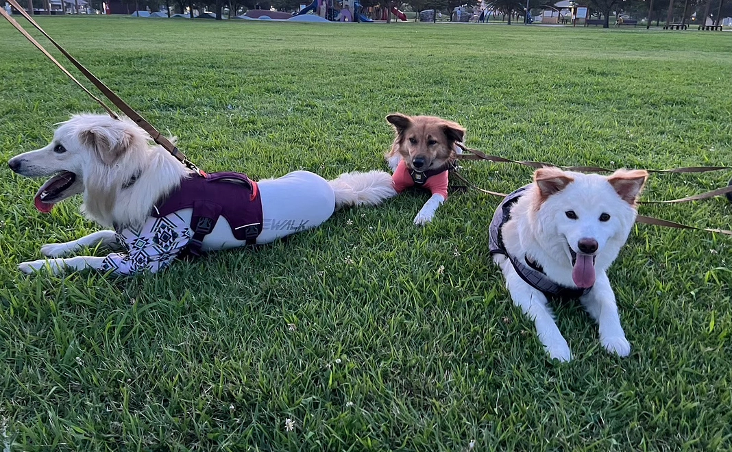 毎月5,000円｜応援コース