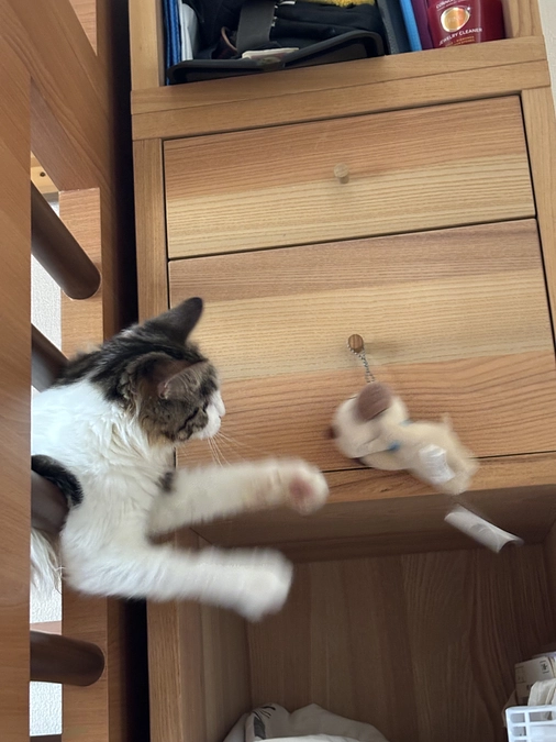 元気になりました！