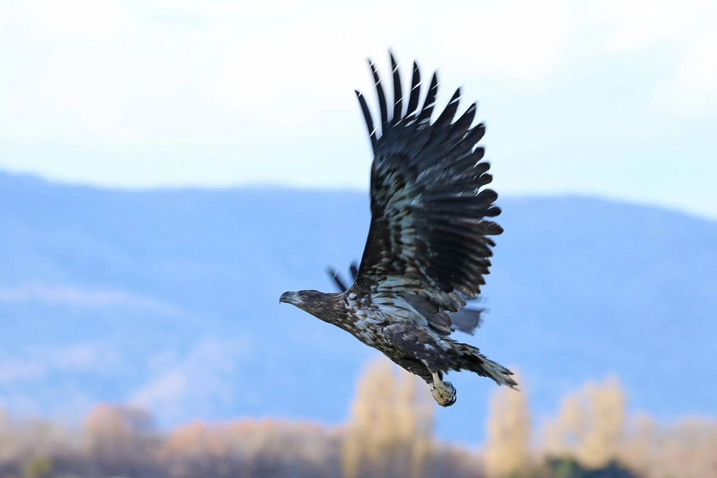 第一目標達成のお礼と第二目標について