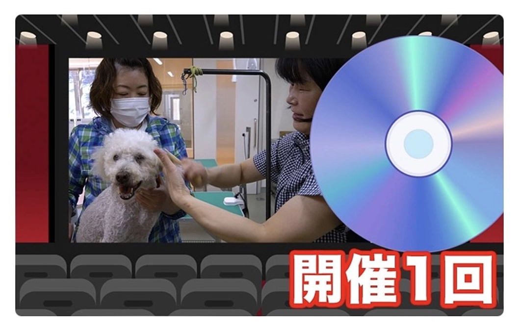 【リターン紹介⑤】自主上映会開催権（＋HPクレジット）コース｜3万円