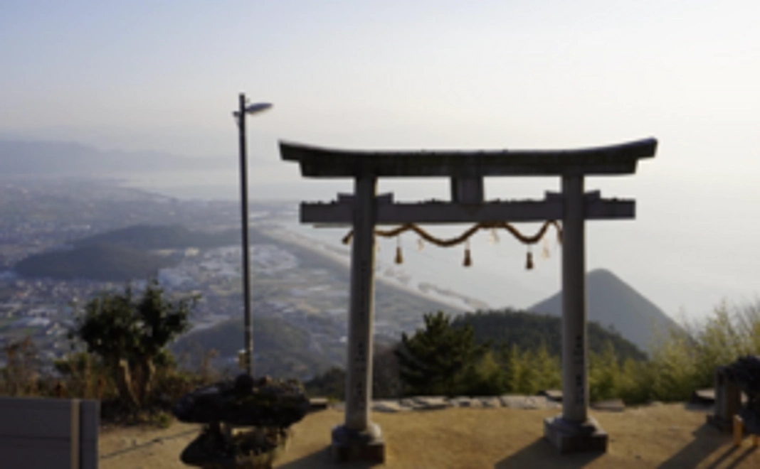 感謝のメールと写真