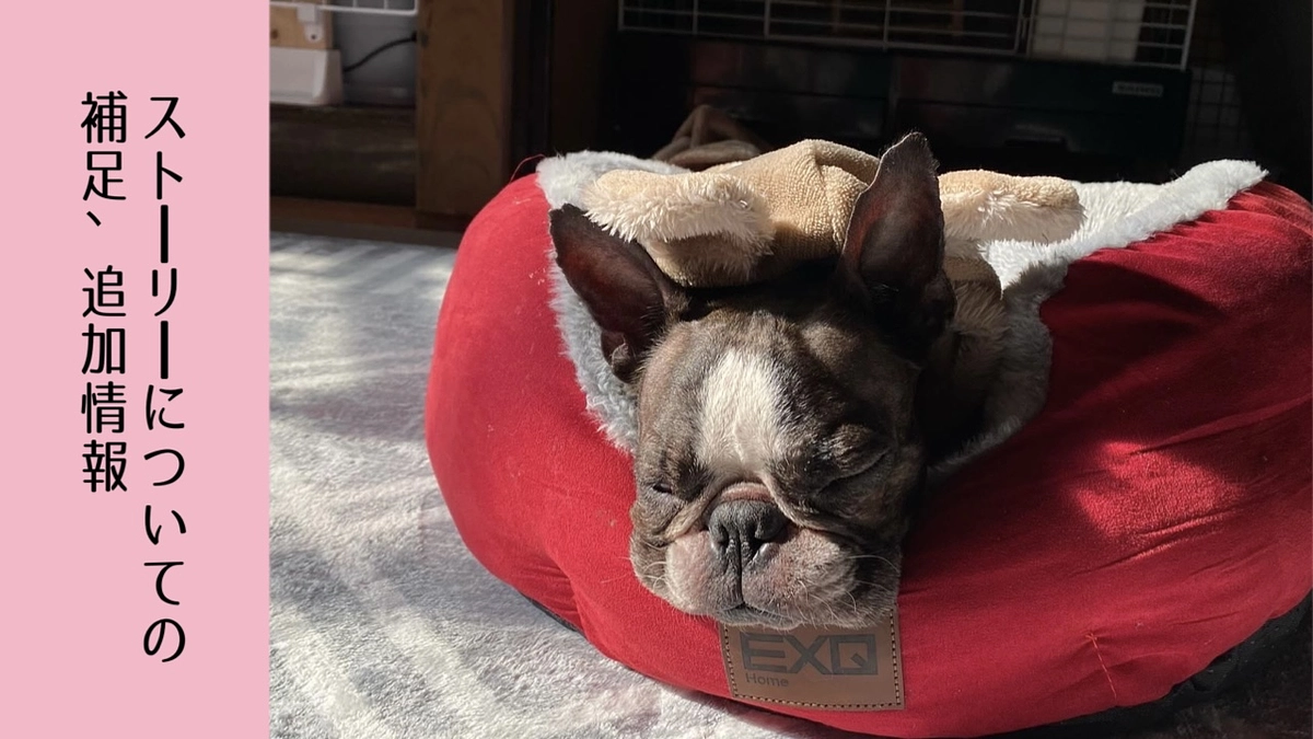 ストーリー(本文)の補足や追加情報