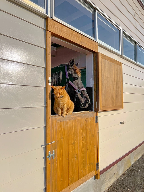 移転のご報告②