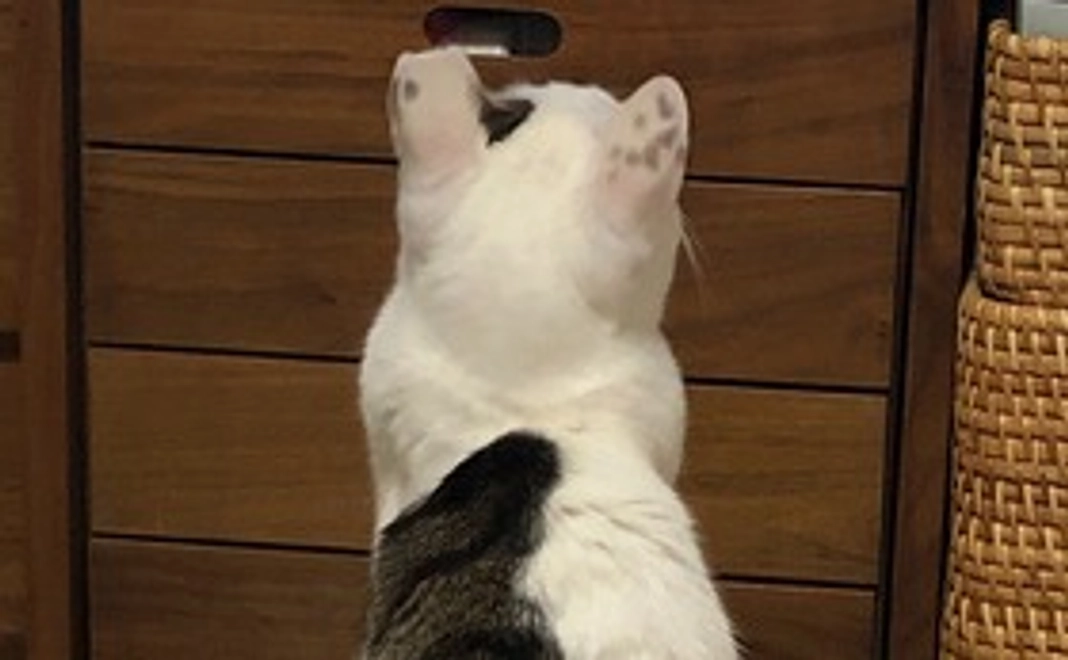 応援(リターン不要）500円コース