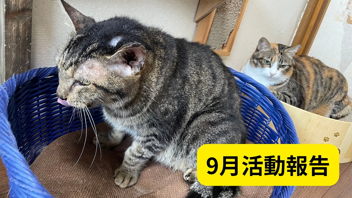 【９月活動報告】
