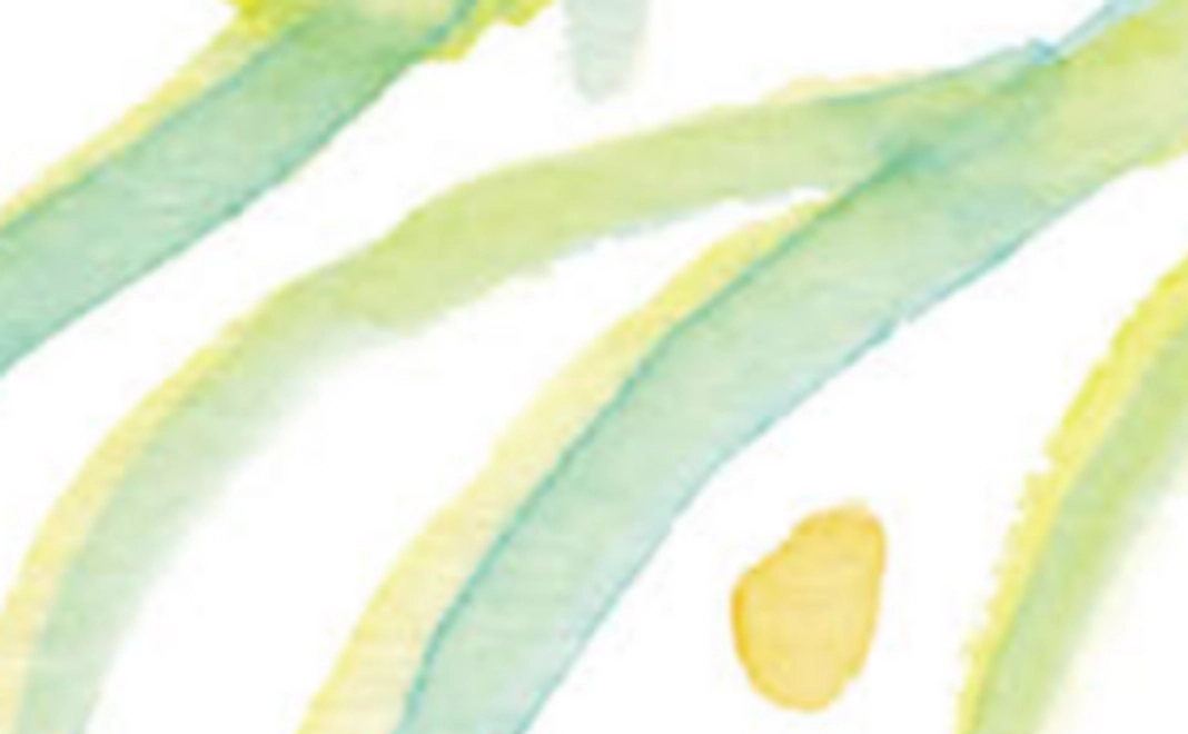 シンプル応援コースA / リターン不要な方へ