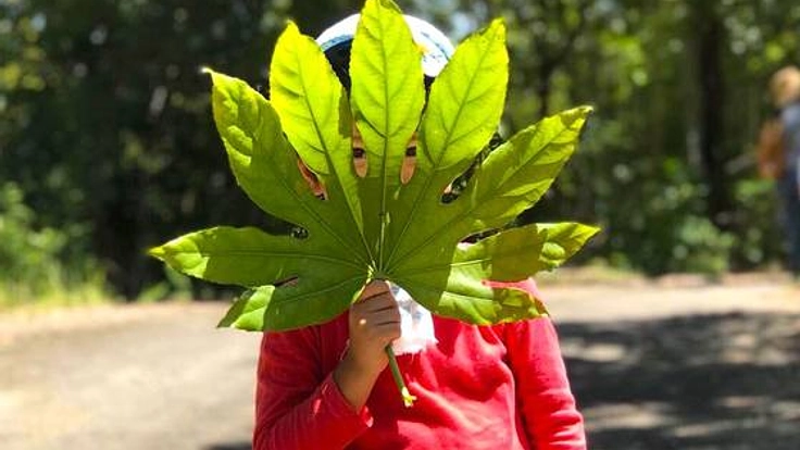 グリーンハウスが学び舎に。大切な子どもたちを地域で育てたい！