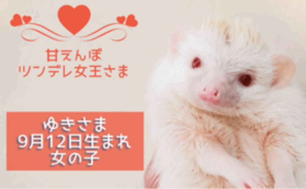 しゃべコミュで利用できる5000円分クーポンプレゼント