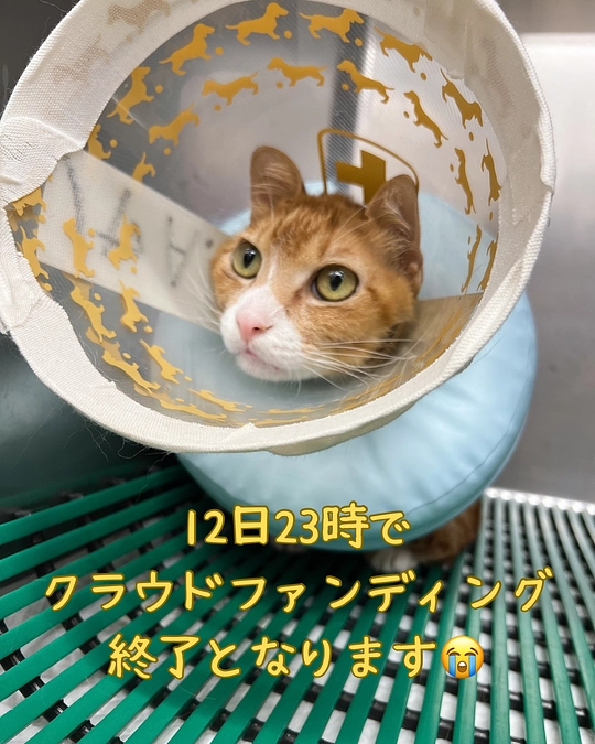 目標達成したのですが、コンビニ未払いの方が😭