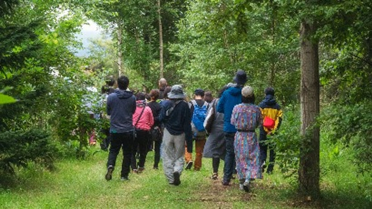 歩くのが好きなひとたちについていったらこうなりました。