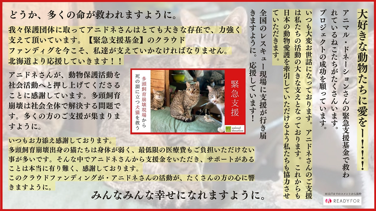 【あと6日！あと26万円！】皆様の思いを背負ってラストスパート駆け抜けます！！応援メッセージのご紹介