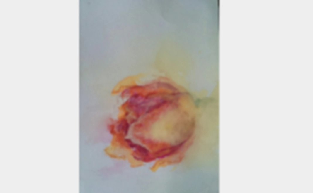 優美な死骸セットー梅ー