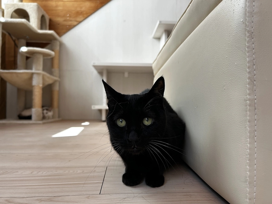 継続寄付での応援をお願いいたします