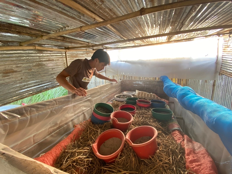 活動ブログ⑦ ゼロからのコオロギ養殖とと試行錯誤