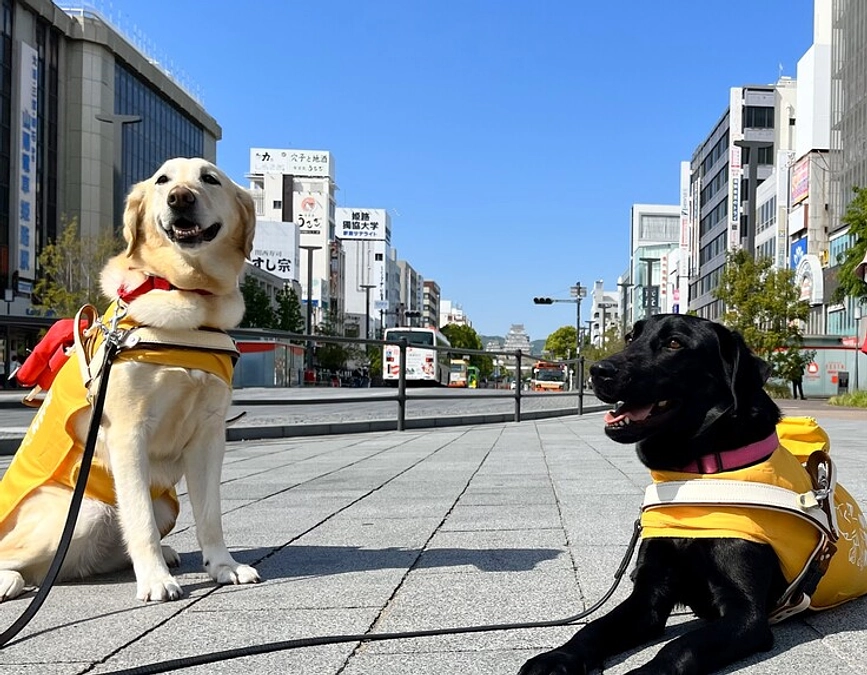 あたたかい応援メッセージのご紹介　その1