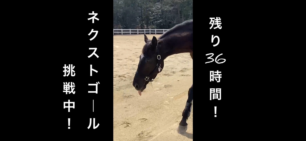 【残り３６時間！】ネクストゴール挑戦中！