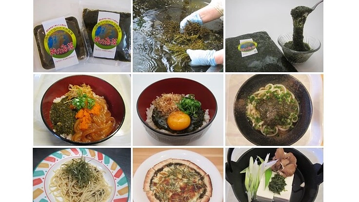 神の国山陰産天然アカモク「神の海藻」を全国の皆様にお届けしたい
