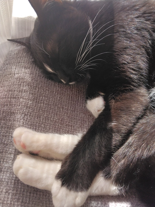 4/16はなちゃんの様子