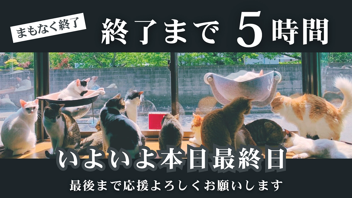 【本日最終日｜残り5時間｜ネクストゴールまで55万円】未来のために、あと少しだけ力を貸してください