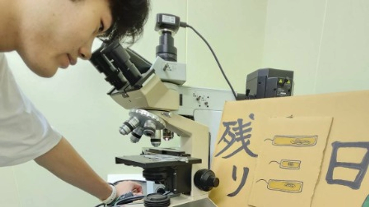 あと3日です！！！！