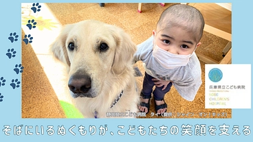 そばにいてくれたら。兵庫県立こども病院にファシリティドッグを！ のトップ画像