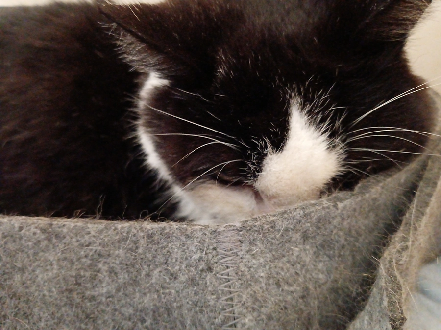 腫瘍外来受診。今後の治療方針。