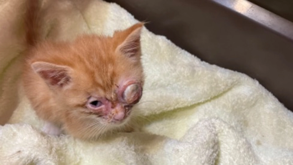 ネクストゴールの現場で・・・。