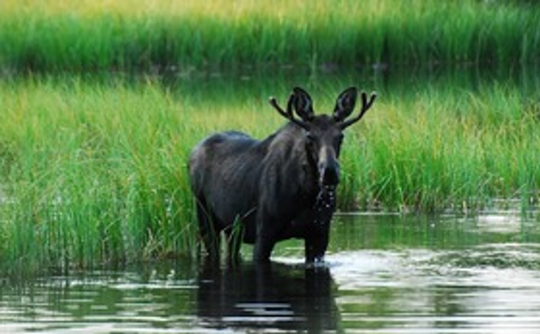 動画に興味あるから応援してみよう！プラン