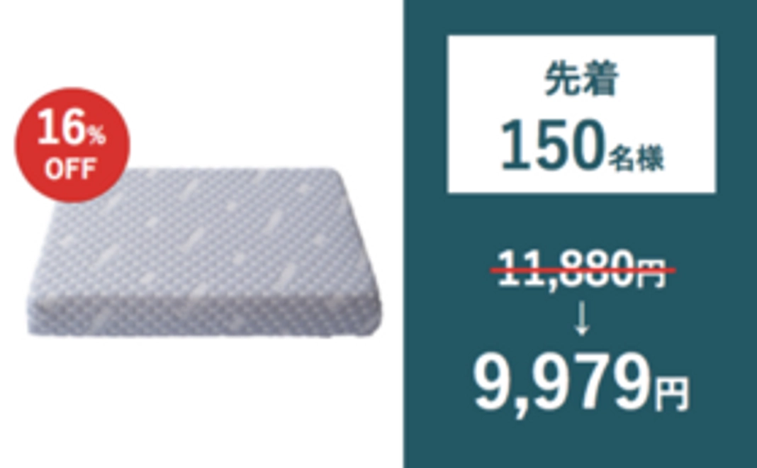 【Readyfor限定価格】先着150名様・超早割16%OFF！Zigzagピロー×1個