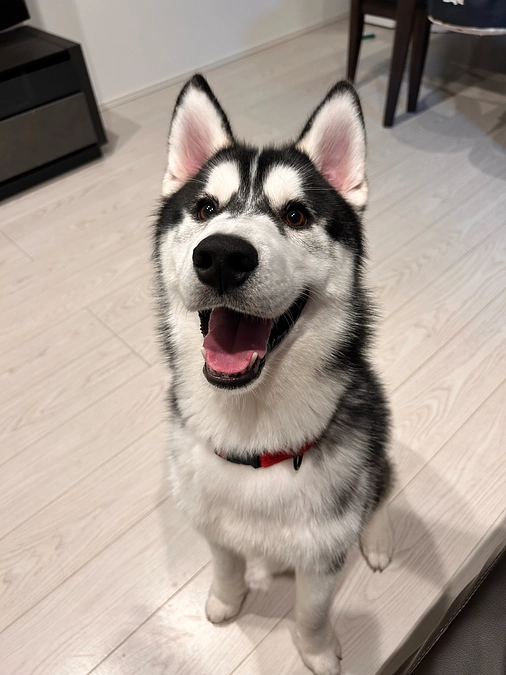 達成64％残り270000円です！！