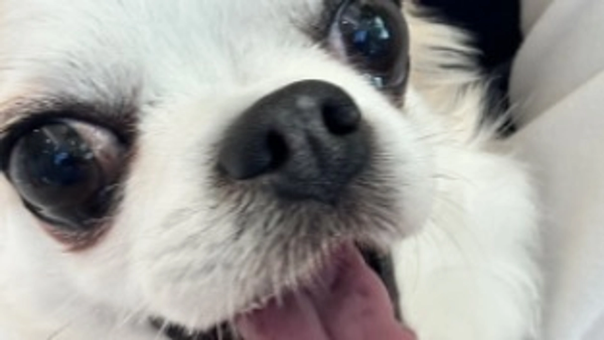 残り18日　達成率55%